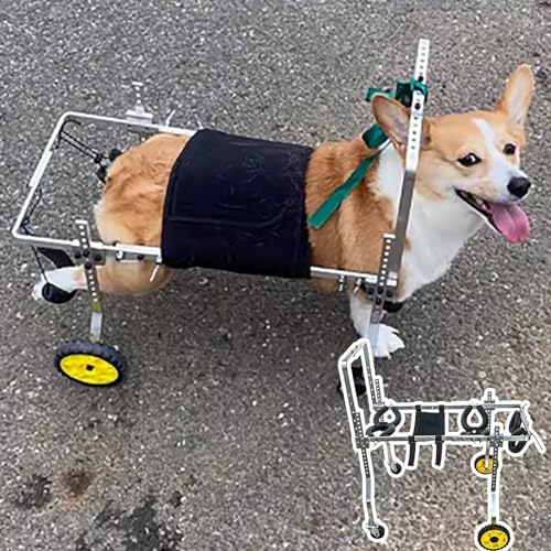 Hunderollstuhl Hunderollstuhl für Hinterbeine, Kleine, Mittelgroße und Große Hunde, 4 Räder, Metallhaustier-Rehabilitationswagen zur Hüftunterstützung, Lähmung Hund Beinstütze Auto (Size : Size XS Wi