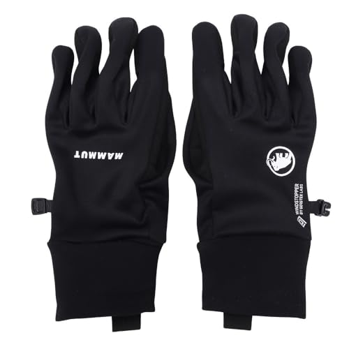 Astro Glove (Gloves) - Mammut