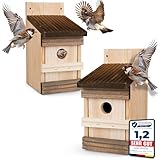 2 Stück Oramics Nistkasten zum Aufhängen für Garten, Balkon und Terrasse - Kiefernholz Vogelhaus für Wildvögel und Gartenvögel – Nisthaus wetterfest und langlebig für draußen, ideal für kleine Vögel