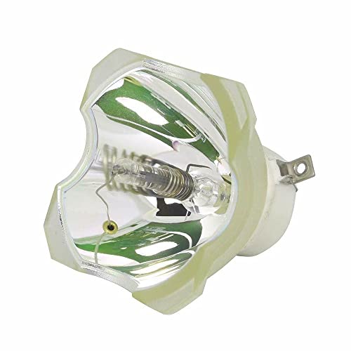 RS-LP09 Kompatible Bare Bulb Projektor Lampe ohne Gehäuse für Canon Realis WUX6000 WUX6010 XEED WUX6000 WUX6000D WUX6010