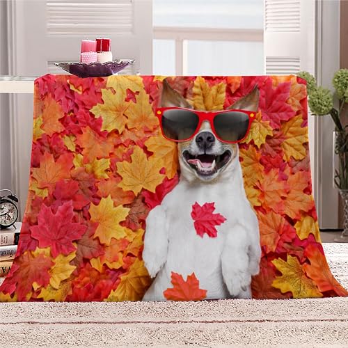 Kuscheldecke Jack Russell Terrier Flauschige Wohndecke Hund, Tier Weich Fleecedeck Tagesdecke Sofadecke Wärme Flanell Decke für Couch Bett Stuhl Büro Sommer personalisierte Decke 130x150cm