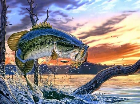 HfmQuisutron Jigsaw Puzzle 1000 Teile Retro Fishing Art Poster Holzpuzzle Poster Holz Für Erwachsene Kinder Spiele Lernspielzeug Df147Zq