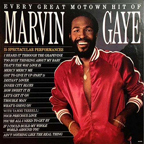 Every Great Motown Hit of Marvin Gaye (Vinyl) [Vinyl LP]