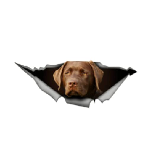 ALANZE 2Pcs Labrador Aufkleber Brauner Hund Aufkleber 3D Vinyl Aufkleber 13 cm * 5 cm Dekoration Aufkleber Auto Aufkleber Laptop Koffer LKW Zubehör Auto Aufkleber