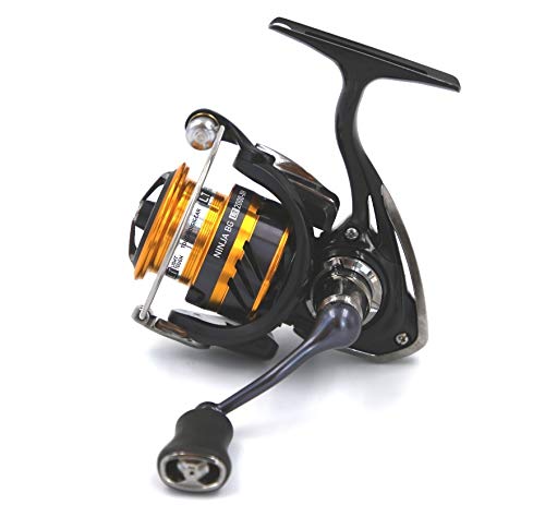 Daiwa 19 Ninja BG LT 2000 XH Rolle