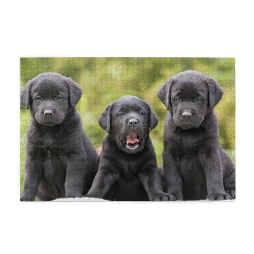 Labrador Retriever Hundedruck, Puzzles 1000 Teile Holzpuzzle Spielzeug Familienspiel Wanddekoration