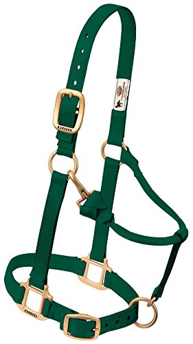 Weaver Leather Original verstellbares Nylon-Pferdehalfter, Yearling, Hunter Green