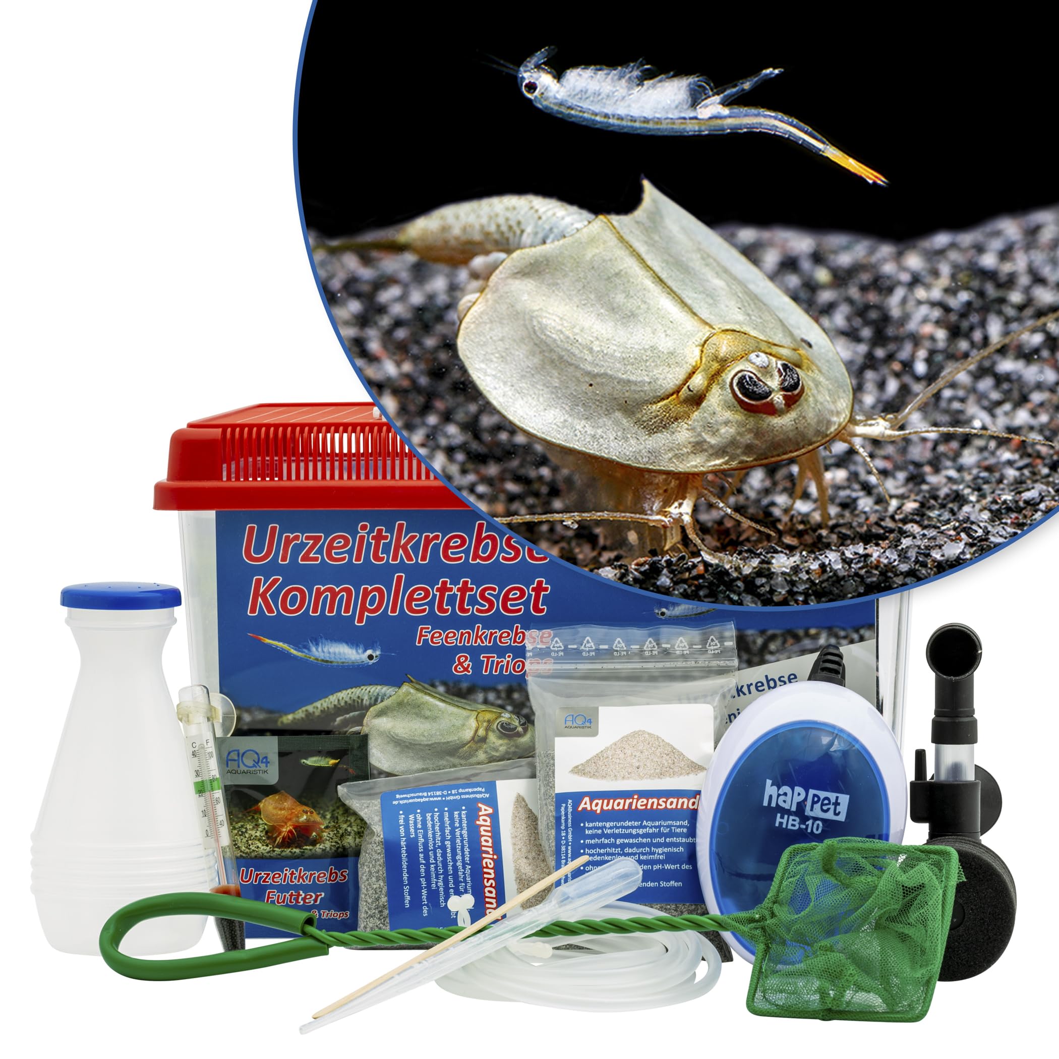 Triops und Feenkrebse Urzeitkrebse Komplettset,6 Liter, Kunststoff Aquarium, Eier, Luftpumpe, Filter, Kescher, Zuchtansatz, Futter und Anleitung