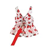 Süßes Hundekleid für den Sommer, Outdoor-Aktivitäten und Leine, Set mit Schleife, Dekoration, Haustier-Katze, Prinzessinnenkleid für den Frühling (Rot, XL)