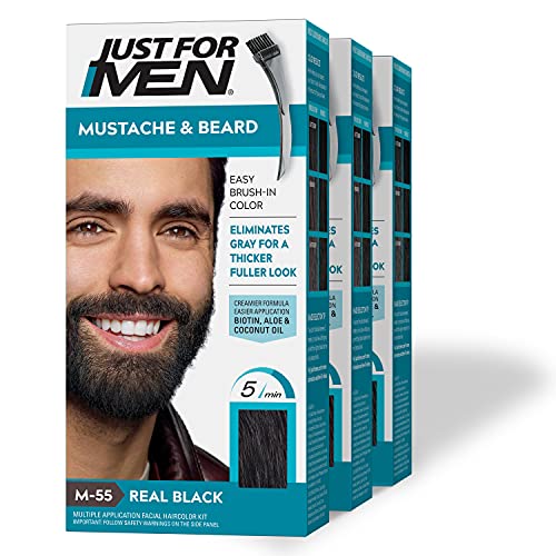 Just for Men Brush-In Farben und Bürste für Schnurrbart und Bart, 1 Set (3-teilig)