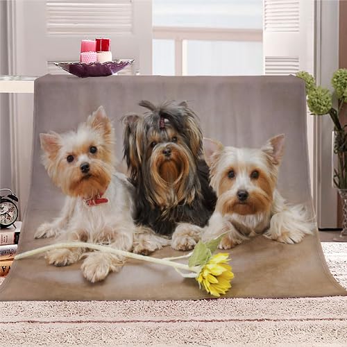 Yorkshire-Terrier Kuscheldecke Flauschig 150x200 Hund, Tier Weich Sofadecke Kuschelig Decke Warm Sommer Flanelldecke Wohndecke Schlafdecke personalisierte Decke Tagesdecke couchdecke