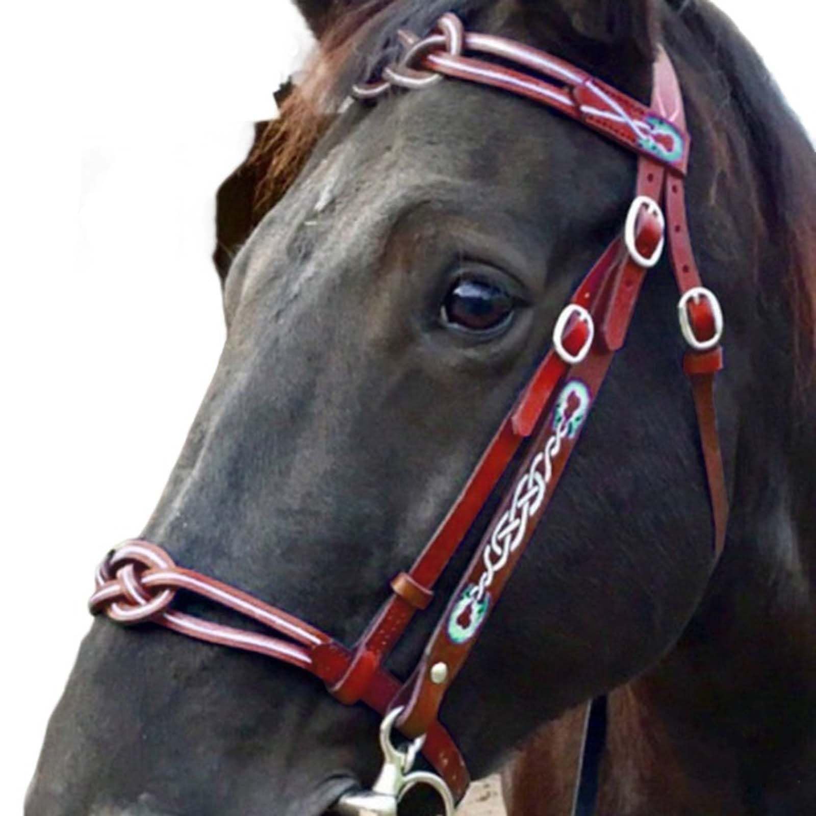 MDFCZXP Reitzügel aus Leder mit weicher Polsterung und Einwangenschnalle für Pferdezubehör Pferderennausrüstung,Rot,45cm