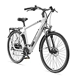 TELEFUNKEN E-Bike Herren Elektrofahrrad Alu 28 Zoll mit 24-Gang Shimano Acera Kettenschaltung, Pedelec Trekkingrad mit Hinterrad-Motor 250W 11,6 Ah, 36V Akku, XC941 Expedition