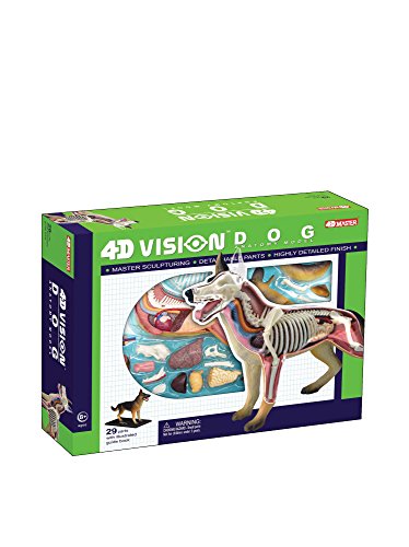 4D Vision Dog Anatomy Model