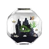 Kleiner Tank Aquarium, tragbare Fischschale Tank, Fisch Tank Kreative Glas Transparent Fisch Tank Office Home Desktop Kleine Fisch Tank Ornamente Goldfisch Zierfische Tank Aquarium Tank