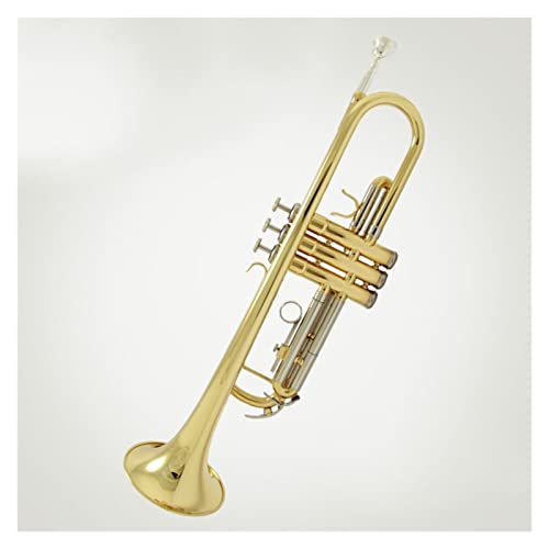 Trompeteninstrument In B Flach (Color : Gold and silver)