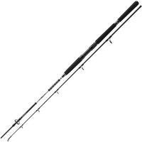 Daiwa BG Boat 2,40m 150-400g