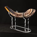 HHUXIUE Shofar-Ständer, Shofar-Ausstellungsständer, Acryl-Schofar-Ausstellungsständer, Shofar-Sammelständer, für Shofar Heimdekoration (transparent)