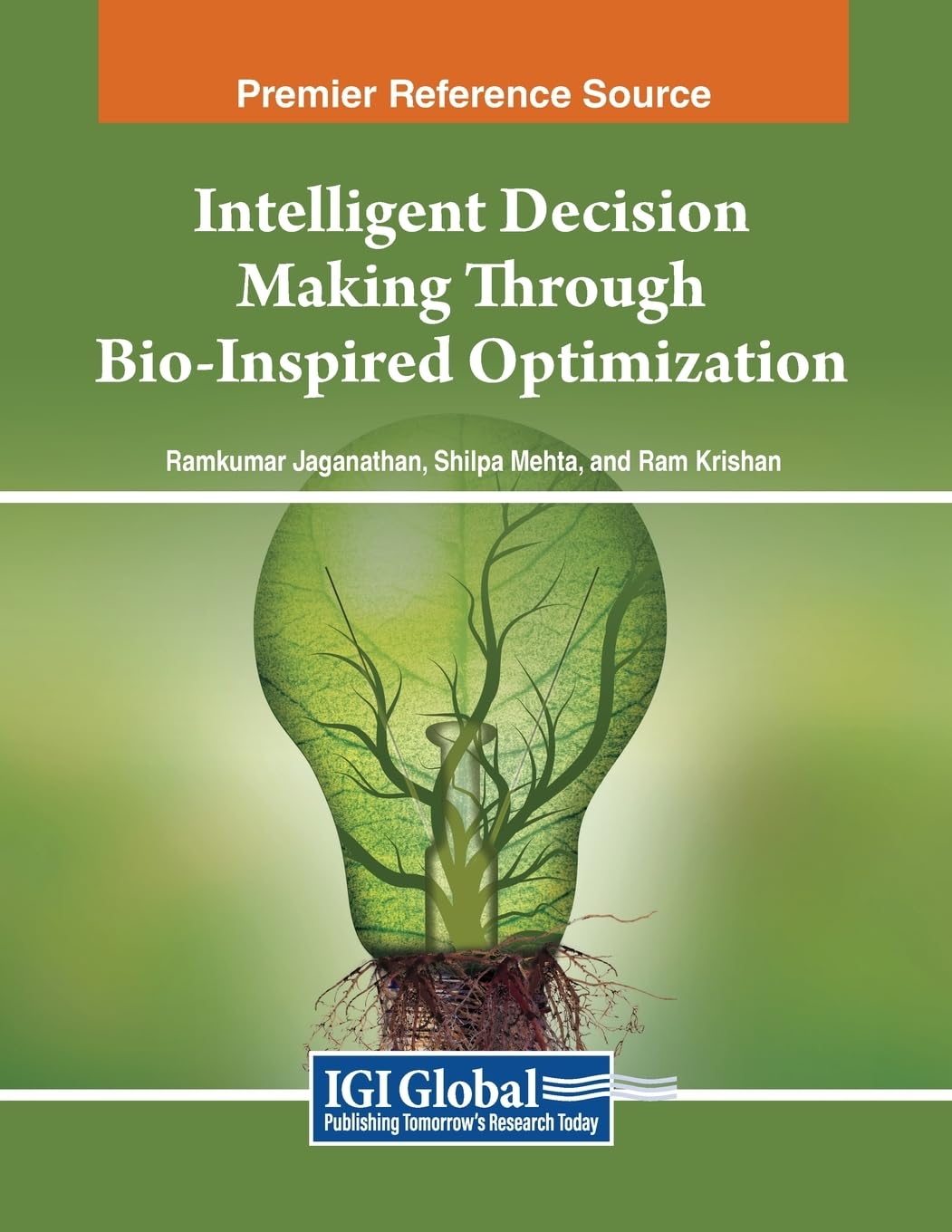 Intelligent Decision Making Through Bio-Inspired Optimization (Advances in Computational Intelligence and Robotics)