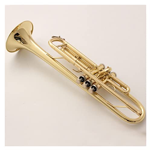 ZENGXUE BB Trompete Gold Lacquer Musikinstrumente Professionelle Trompeten Student Inklusive Fall Mundstück Zubehör Standard-Trompetenset