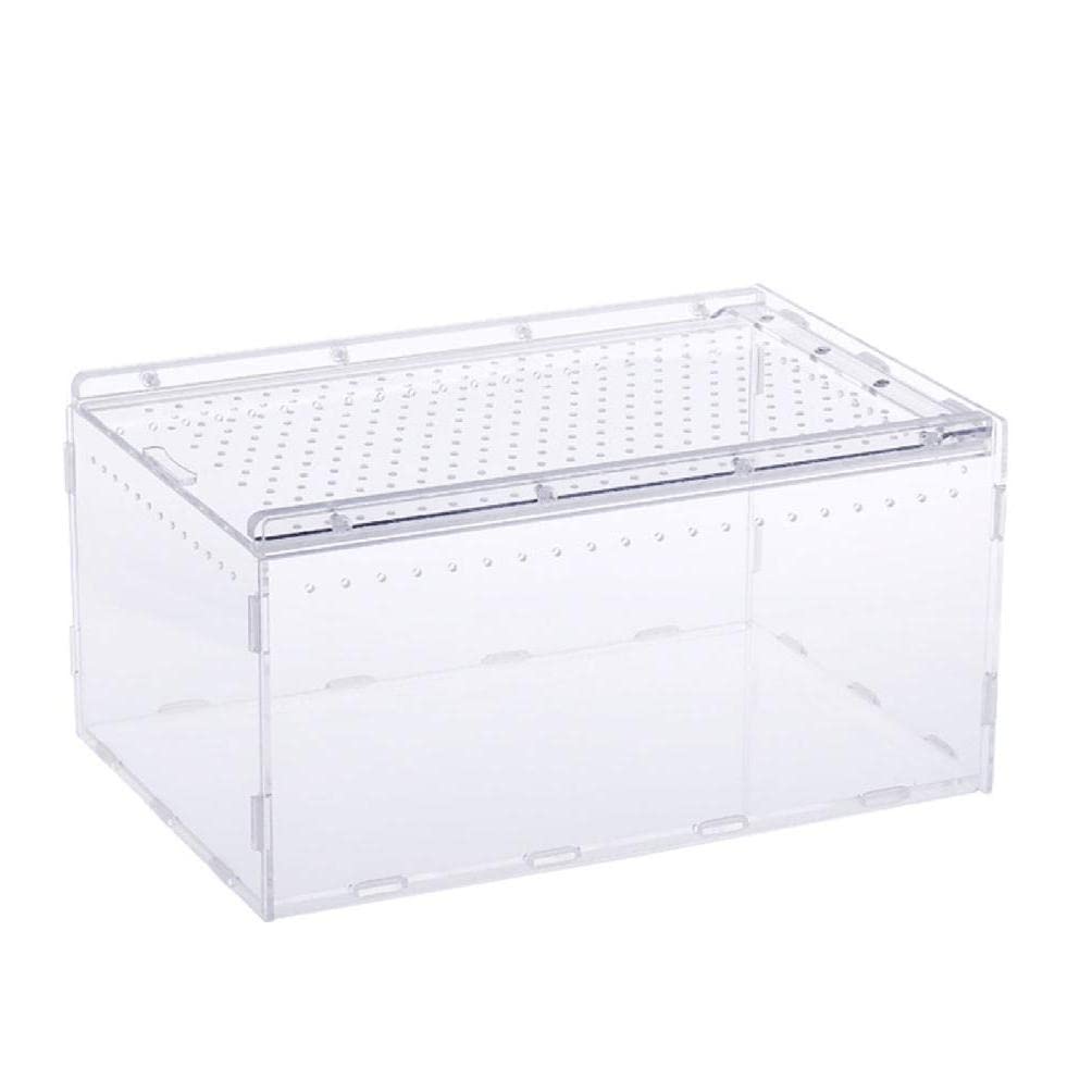 Transparente Futterbox mit Deckel für Geckos Supplies Transparent-Futterbox Behälter Terrarienkäfig