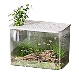 Mini-Betta-Aquarium, Tisch-Aquarium, Schildkrötenbecken Aquarium Goldfischbecken Fischschalen, Kleine Aquarien, dekorativer kompakter Tank für die Schildkrötenzucht, kleine Fische