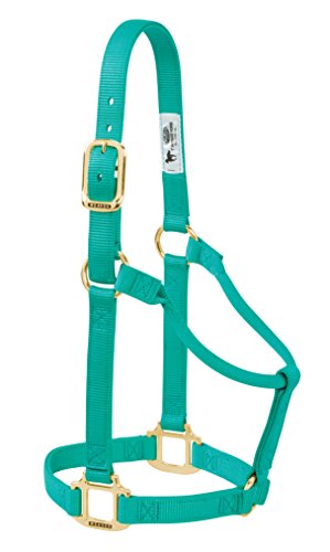 Weaver Leather Original Non-Adjustable Nylon Horse Halter, Average, Emerald Green