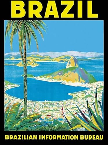 HfmQuisutron Jigsaw Puzzle 1000 Teile Brasilien Reise Landschaft Poster Holzpuzzle Für Erwachsene Spiele Lernspielzeug Kz54Qy