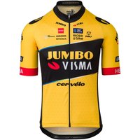 TEAM JUMBO-VISMA 2023 Kurzarmtrikot, für Herren, Größe L, Rennrad Trikot, Radspo