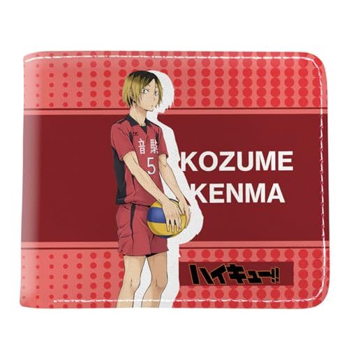 RYNDEX Haiky-uu!! Kartenetui Anime, Zweifach Gefalteter Geldbörse Klein, PU Leather Geldbörse Brieftasche Wallet(Color:Multicolor 1)