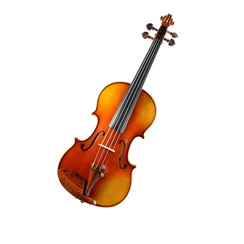 Geige Übungstest für Erwachsene und Violinset für Anfänger (Color : 1/4)