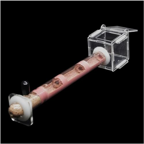 1 Reagenzgläser Ameisenfarm Acryl Ameisennest Ameisen Haus Ant Nest Insekt Villa Ameisenhaufen Pet Farmen Kit Formicarium Display Box (Color : B-18-180MM)-1