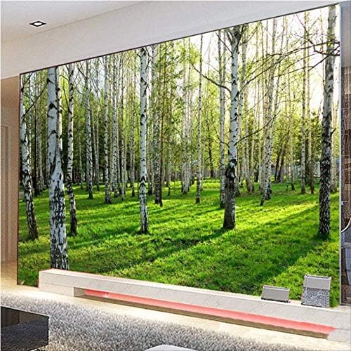 XLMING Naturlandschaft Birkenwald 3D Tapeten Home Esszimmer Sofa Schlafzimmer Wohnzimmer TV Hintergrund-150cm×105cm