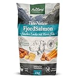 AniForte Lachs Trockenfutter für Hunde 2kg – Frischer Lachs mit Kartoffeln & Vitaminen, Halbfeuchtes Trockenfutter, Hundefutter trocken getreidefrei & glutenfrei für Allergiker