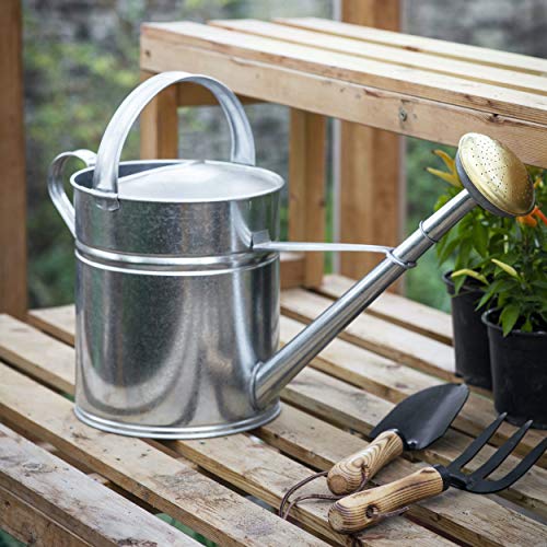 CKB LTD Gießkanne für den Außenbereich, Metall, verzinkter Stahl mit Messingrosette – für große, kleine Gärten, Blumen und Pflanzen, robust, rostfrei, 10 Liter