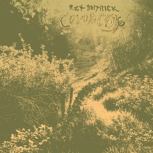 Coyote Canyon [Vinyl LP]