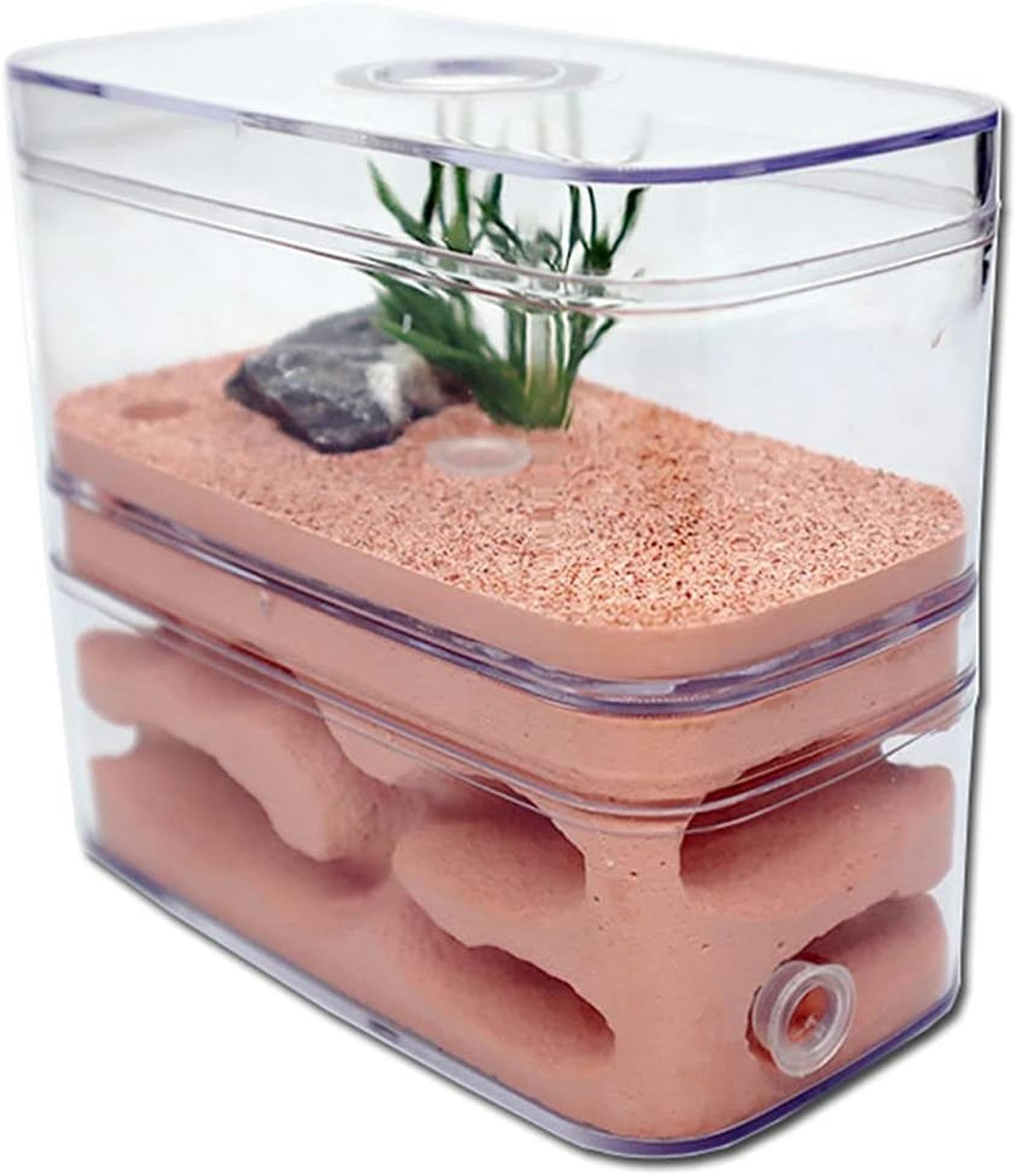 AntHouse - Gips Ameisenhaufen Ameisennest Ameisenfarm Box Ant Habitat Insektenvilla Ameisenhaus Formicarium Insekt Villa 12 * 6 * 10cm-1