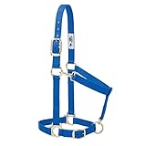 Weaver Leather Basic Adjustable Nylon Halter, Blue, 1" Large Horse