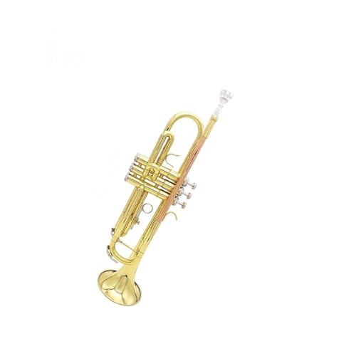 Standard Trompete B-Trompete aus Gold und Silber B-Trompete aus Messing Trompetenset mit Aufbewahrungsbox-Zubehör(Color:3)