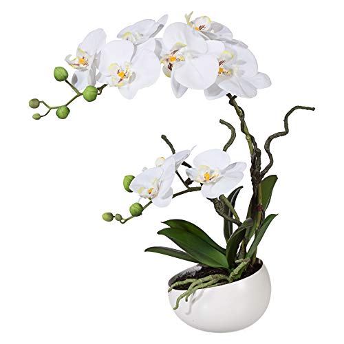 wohnfuehlidee Kunstpflanze Orchidee Phalenopsis, weiß, mit Deko-Keramik-Schale, Kunstblume Höhe 42 cm, Künstliche Orchidee im Topf