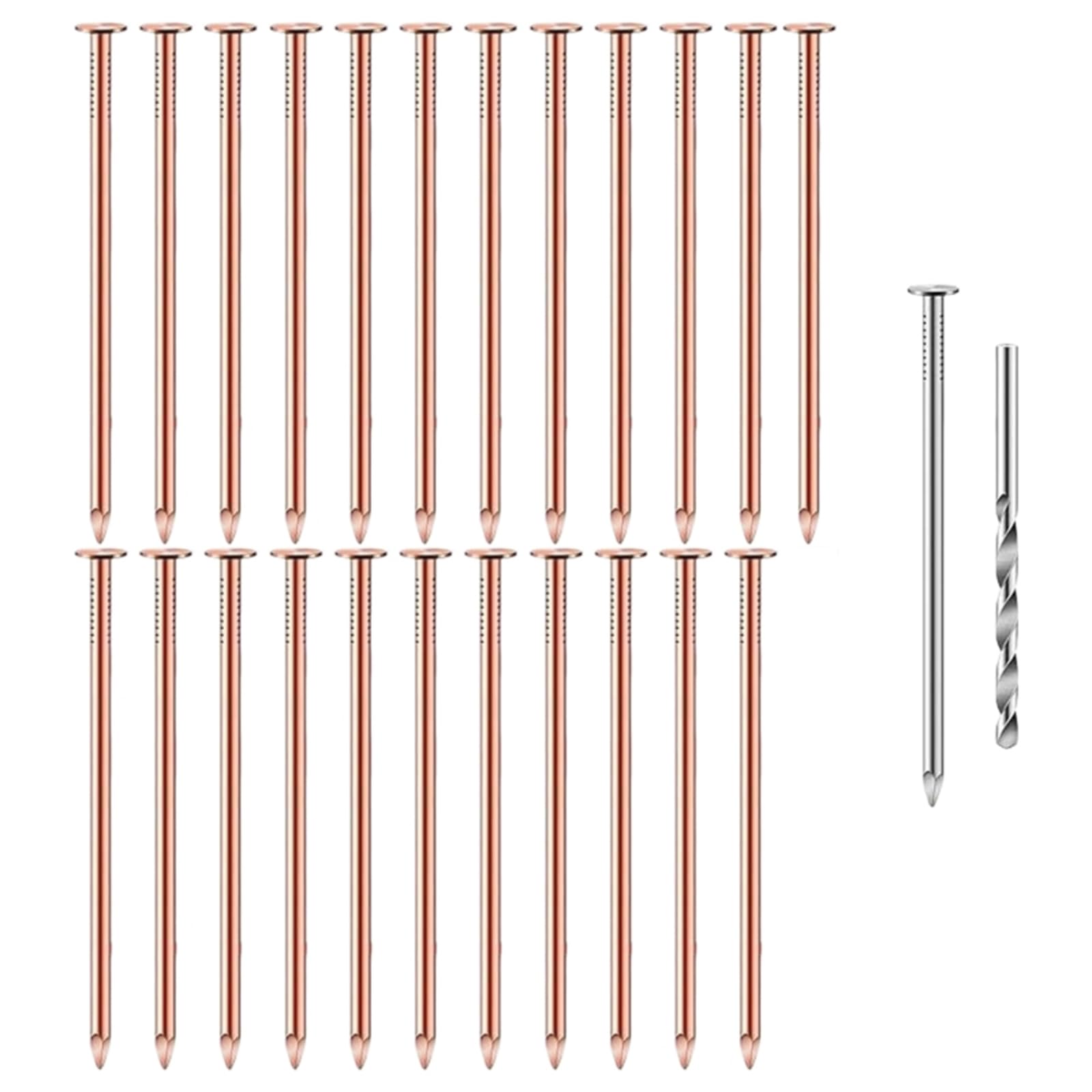 25 Stück Kupfernägel, Baumstumpf-Killer, Nägel mit 1 Stahlnägel, 1 Bohrer, Bit, Nägel, Baumstumpfentfernung, Spikes, einfach zu verwenden