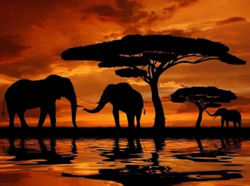 HfmQuisutron Puzzle 1000 Stück Afrikanische Tiere Sonnenuntergang Scenery Poster Für Familie Stressabbau Spiel Zq117Wk