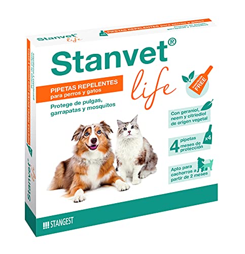 Stangest Stanvet Life Pipetten Box 4 U 1 Einheit 200 g