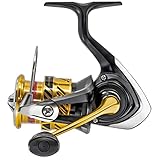 Daiwa 20 Crossfire LT 2500 4BS A - Spinnrolle, Angelrolle zum Fischen auf Zander & Barsche, Stationärrolle