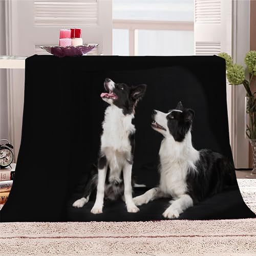 Kuscheldecke Border Collie Flauschige Wohndecke Hund, Tier Weich Fleecedeck Tagesdecke Sofadecke Wärme Flanell Decke für Couch Bett Stuhl Büro Sommer personalisierte Decke 130x150cm