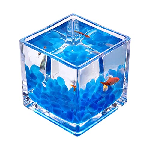 Kleiner Tank Aquarium, tragbare Fischschale Tank, Quadratisches transparentes Glas Mini Office Home Kampffischbecken Kreative Zierfische Kleines Fischbecken Wasserpflanzenbecken Aquariumbecken(3.94IN)