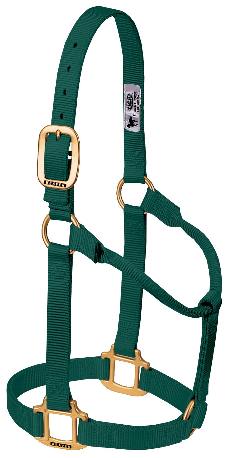 Weaver Leather Original Non-Adjustable Nylon Horse Halter, Hunter Green, Yearling