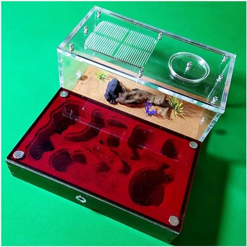 Großes Ameisennest Acryl Ameisenfarm Ameisen Haus Gips Insektenvilla Ameisenhaufen Ant Nest Pet Farmen Kit Formicarium Display Box Wissenschaft Bildungs (Color : A)-1