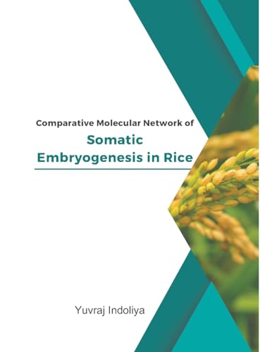 Comparative Molecular Network of Somatic Embryogenesis in Rice