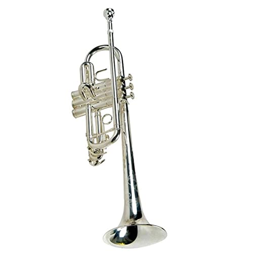 Beliebte Note Nickel-Plated C Key Trompete